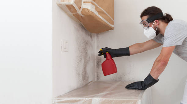 Professional Bathroom Mold Removal technician working in Cumberland, NC