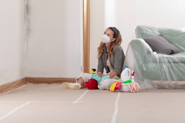 Reliable Bathroom Mold Removal contractor in Cumberland, NC by Mold Remediation HQ